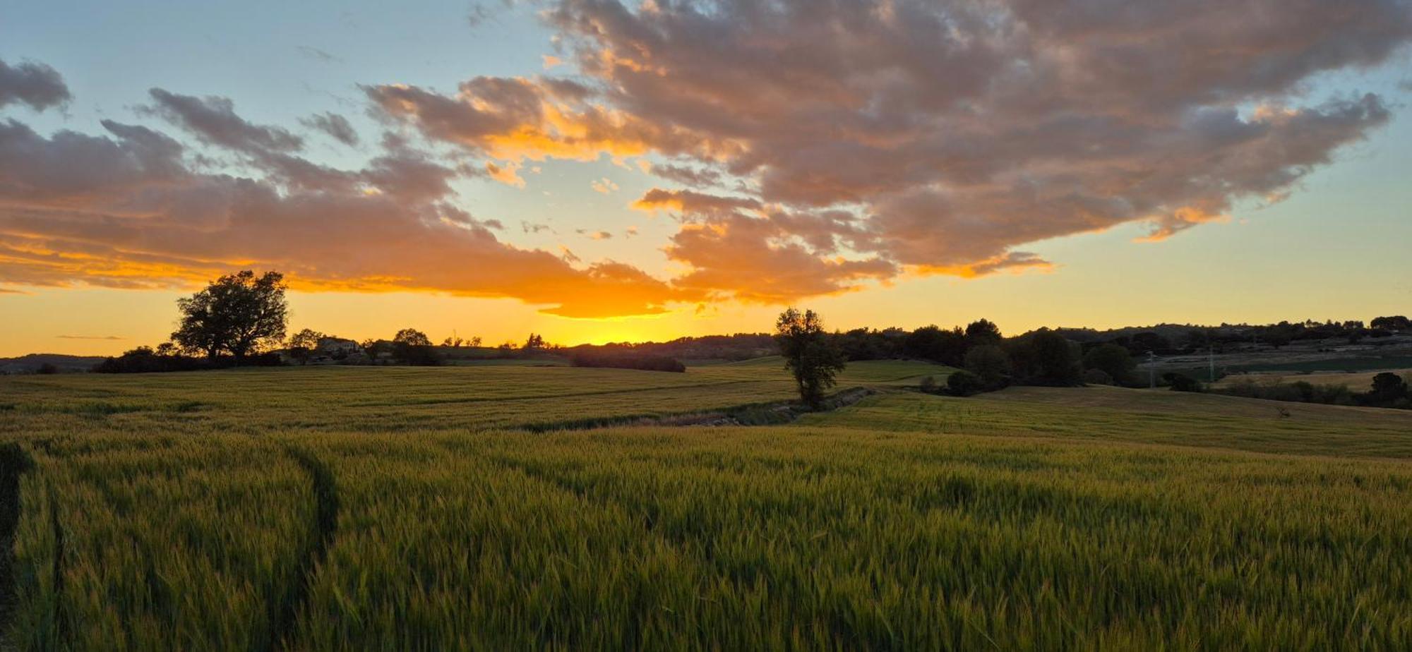 Can Gasol Turisme Rural Guialmons Exterior foto